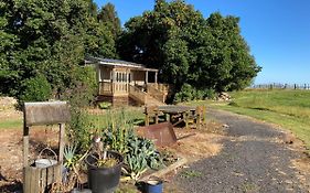 The Treehut